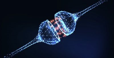 Neurotransmissores